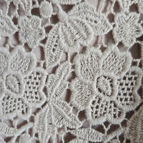 Ann Taylor-Beige lace sheath dress with chiffon overlay on right side Sz 16P - Picture 4 of 8